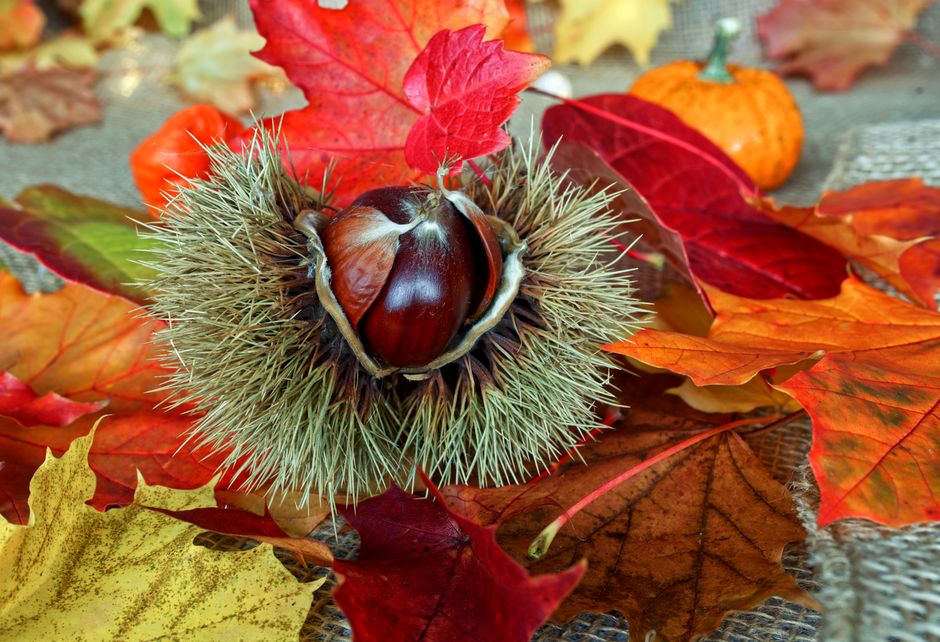 Free spiny dnes: denní přehled aktuálních nabídek